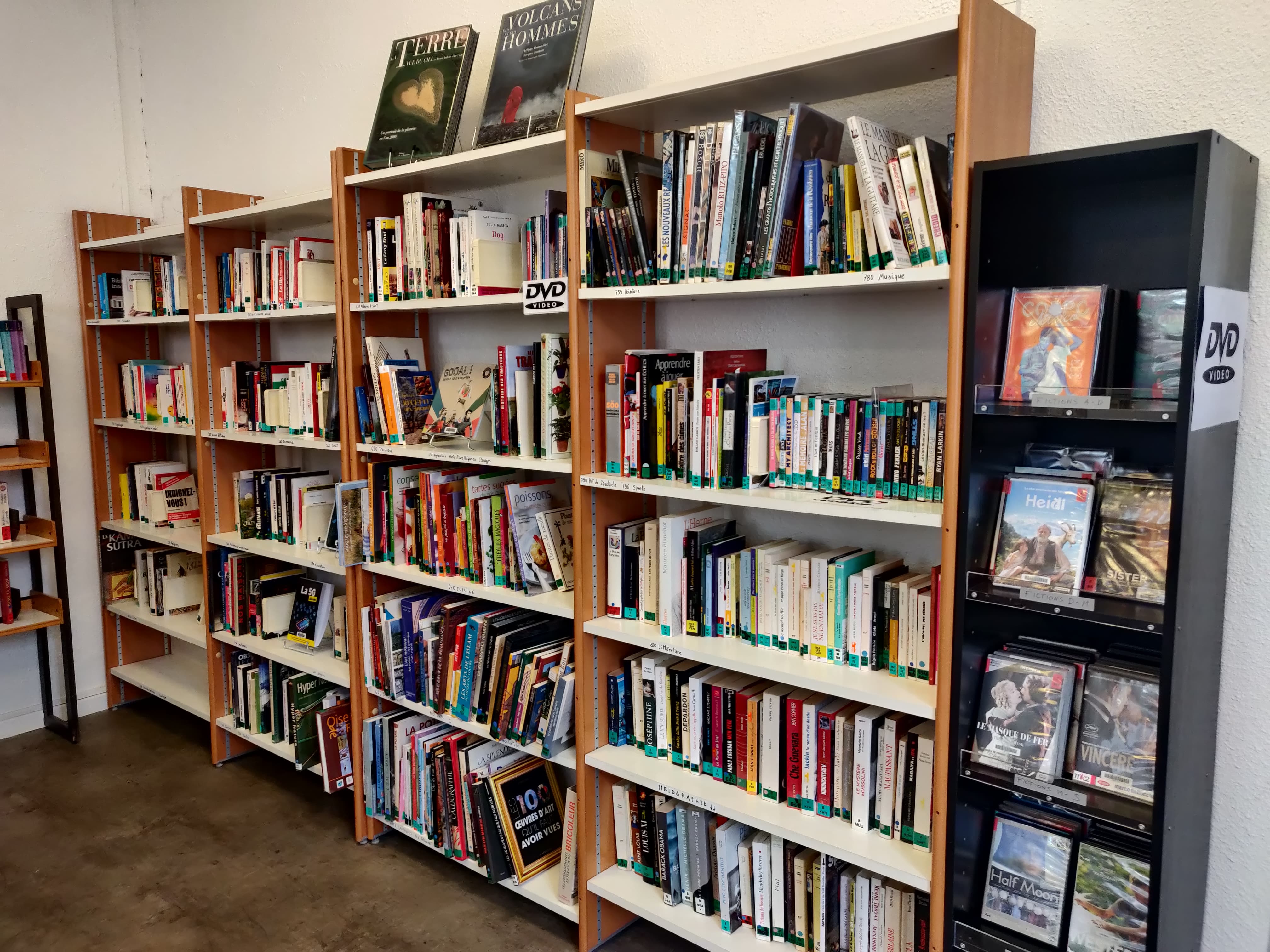 Les documentaires et DVD de l'espace adultes